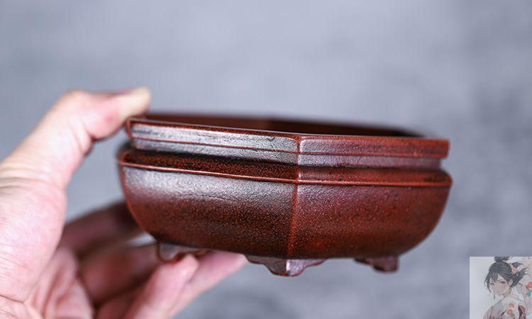 六方鉢紫砂の鉢 盆栽鉢 植木鉢 小品盆栽鉢 大品盆栽鉢 - メルカリ