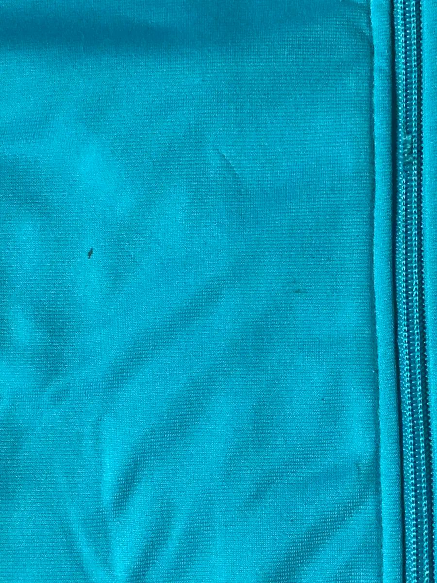 まれ 海外版 必須アイテム adidas アディダス グーフィーバード ミント s