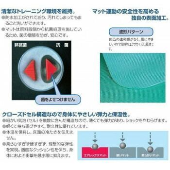 AIREX