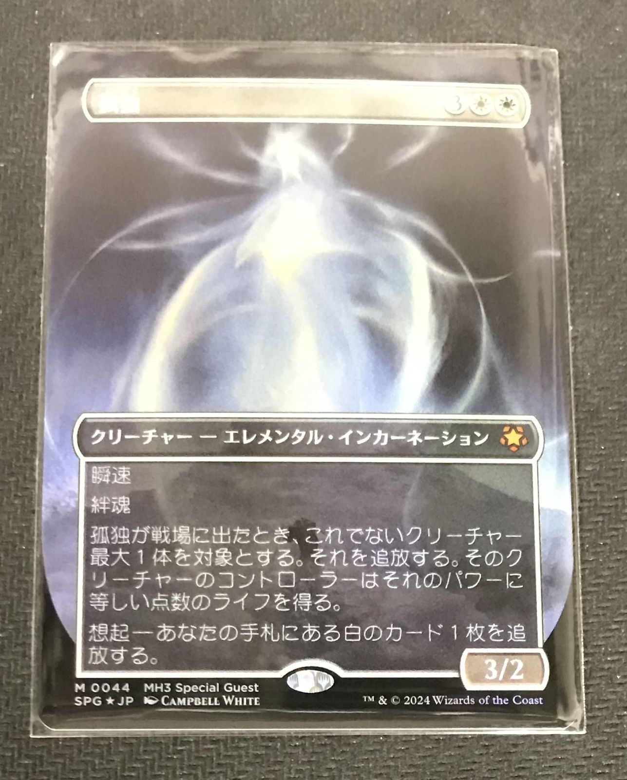 MTG 孤独 フルアート （拡張 ボーダーレス）foil #n - メルカリ