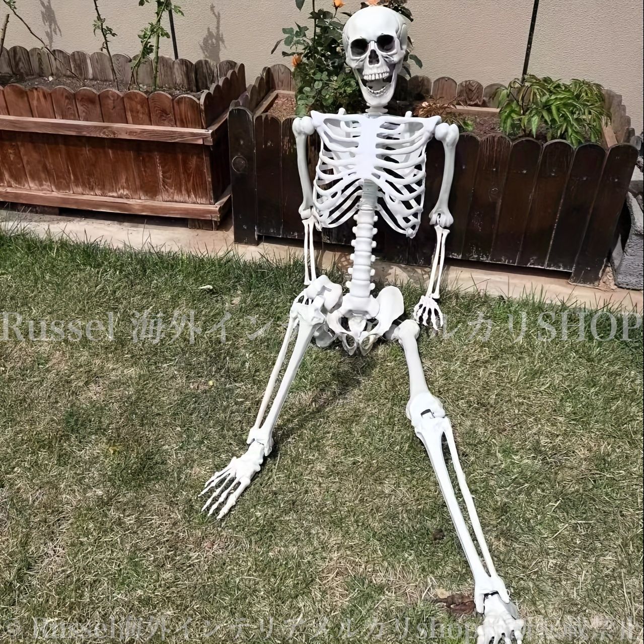 骸骨 ガイコツ 骨 模型 骨格 人形 フィギュア 全身 スカル ドクロ 置物