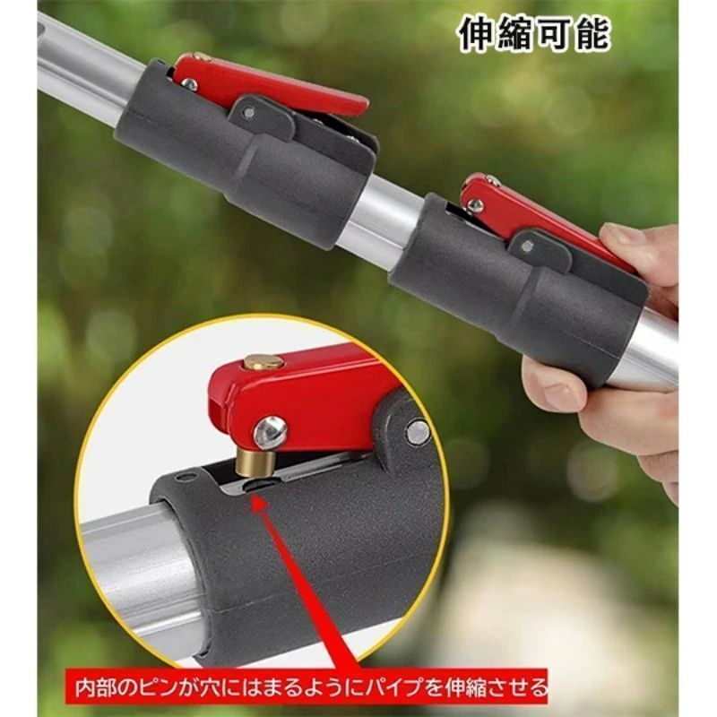 クレドポーボーテ シナクティフ サンプル2日分 クレドポーボーテ