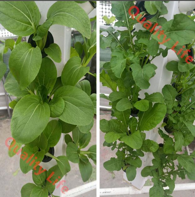 水耕栽培タワー 水耕栽培 屋外 屋内 垂直ガーデン ポンプと可動水タンク付きスマートガーデンキット ガーデニング愛好家への野菜植物ギフト YUZUMIYA_COM