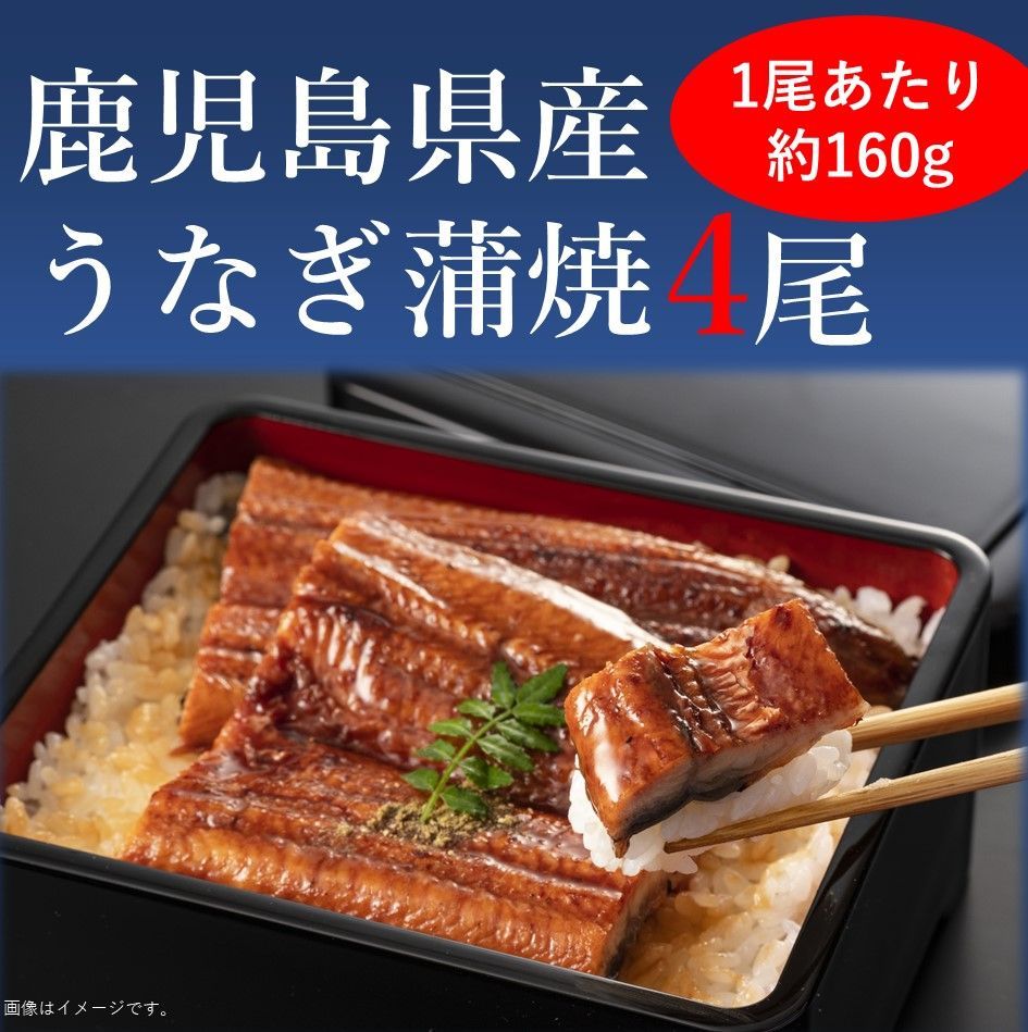 【鹿児島産鰻蒲焼 4尾セット9,000円】【税込 送料込】