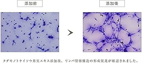 ダマイ