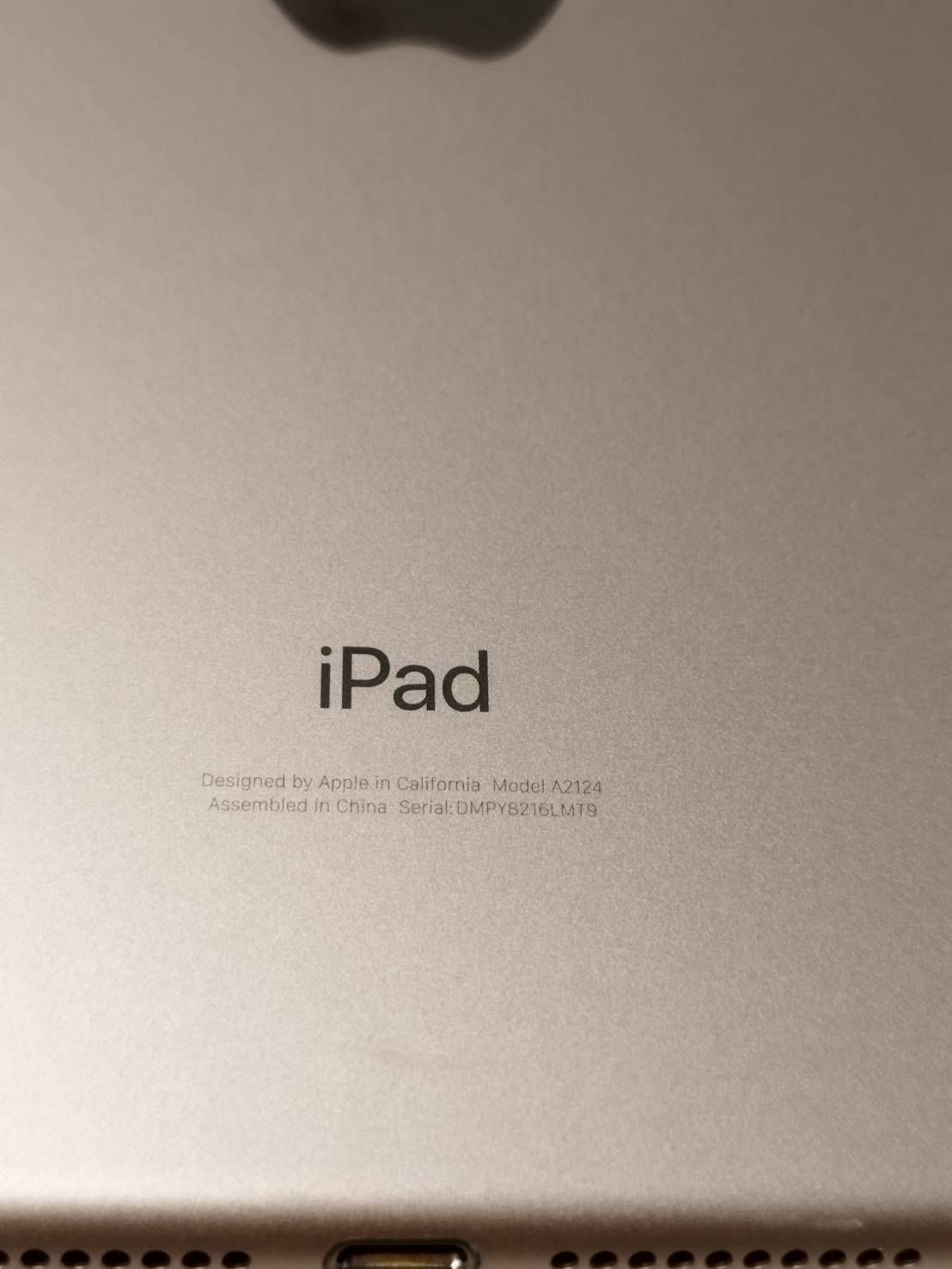 iPad