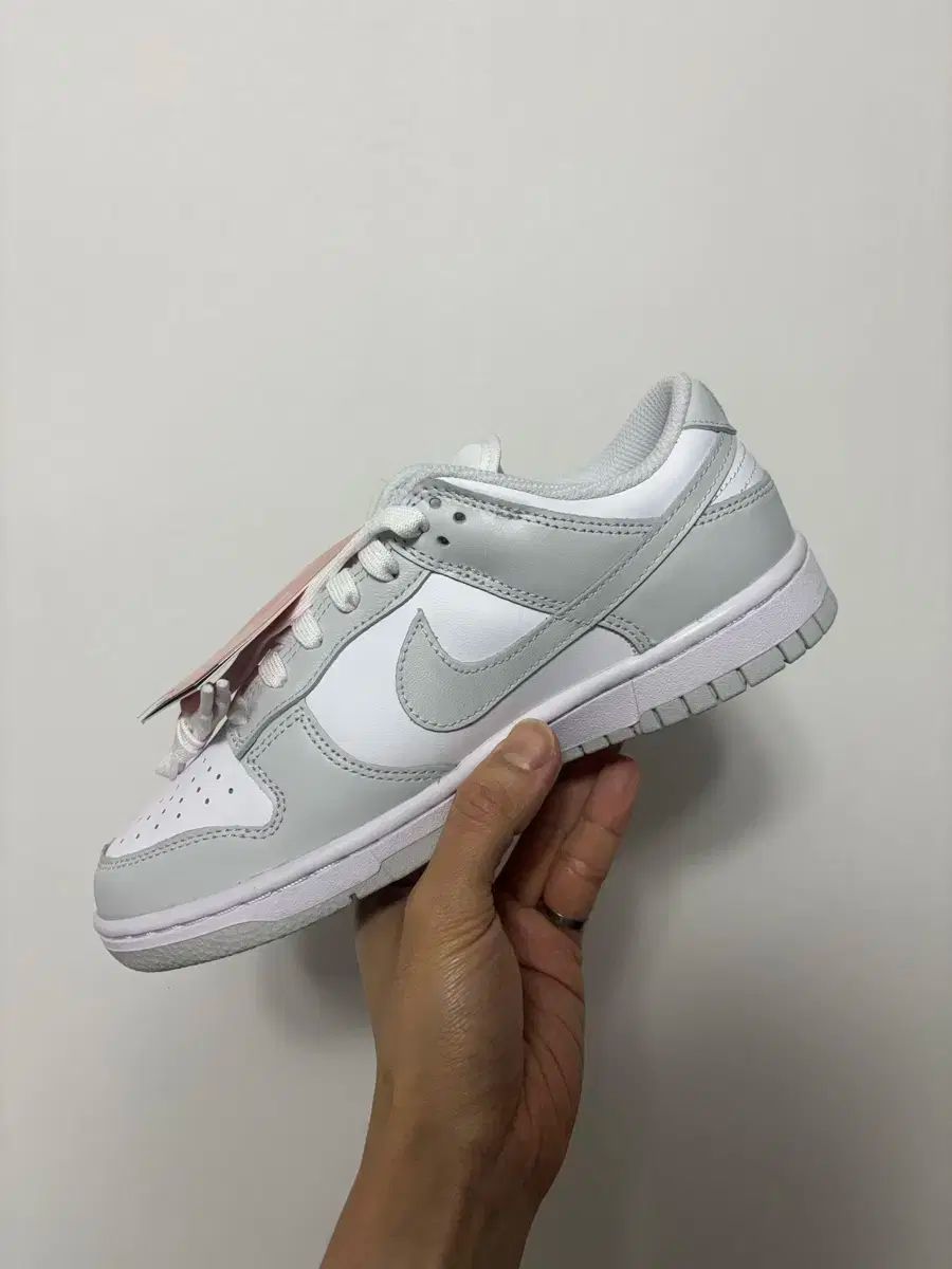 【雷市場（ポンジャン）商品韓国直送】 240 NIKE(ナイキ) ダンク ロー