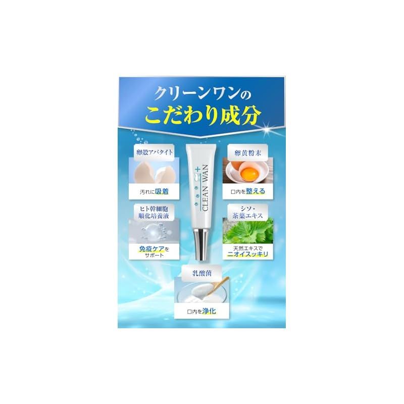 CLEAN WAN クリーンワン 犬 歯磨き ジェル 歯石取り 歯石除去 口臭対策