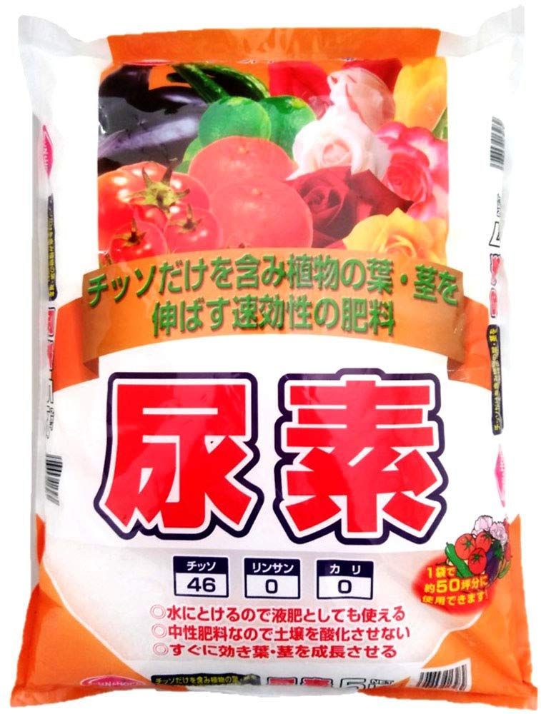 【中古】 子どもを拝む 大野長一著作集 改訂版/飛鳥出版室/大野長一 楽天市場】【中古】 子どもを拝む 大野長一著作集 改訂版 / 大野
