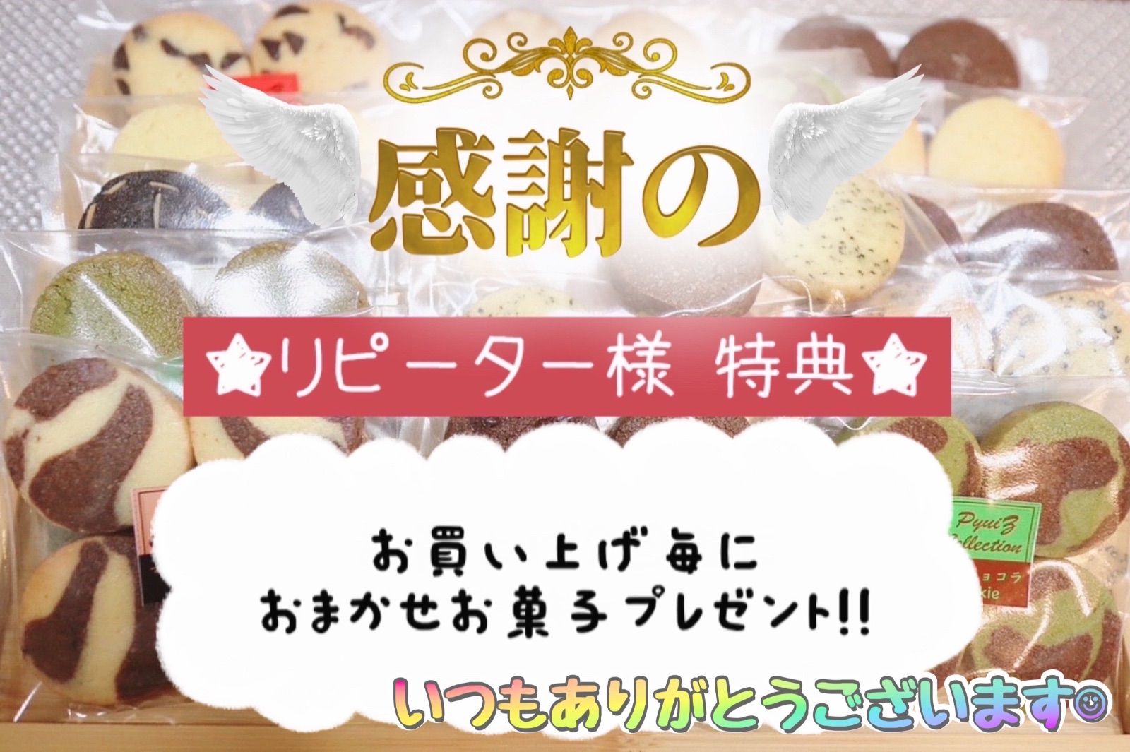 PyuiZ Collection】店主オススメ☆6種セットNo.2♢手作り