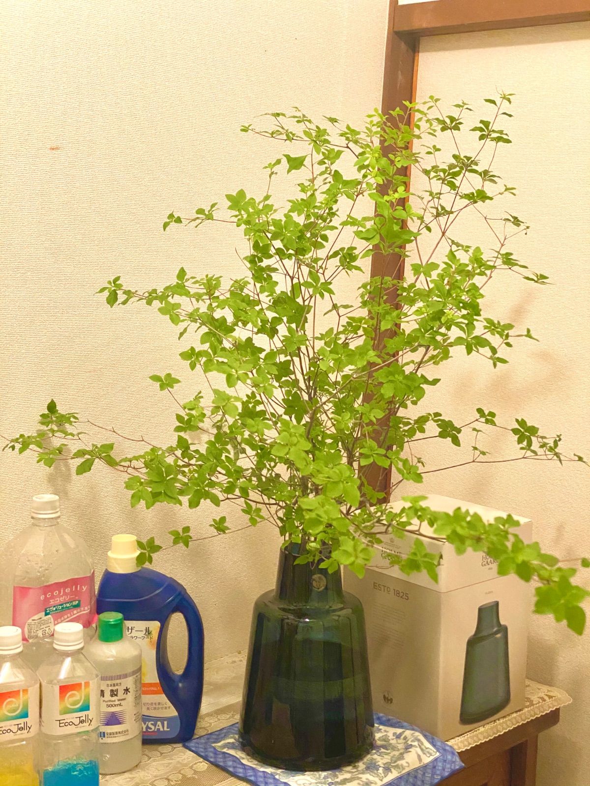 生花❣️ドウダンツツジ🍀70〜80cm×5本セット‼️✨ - メルカリ