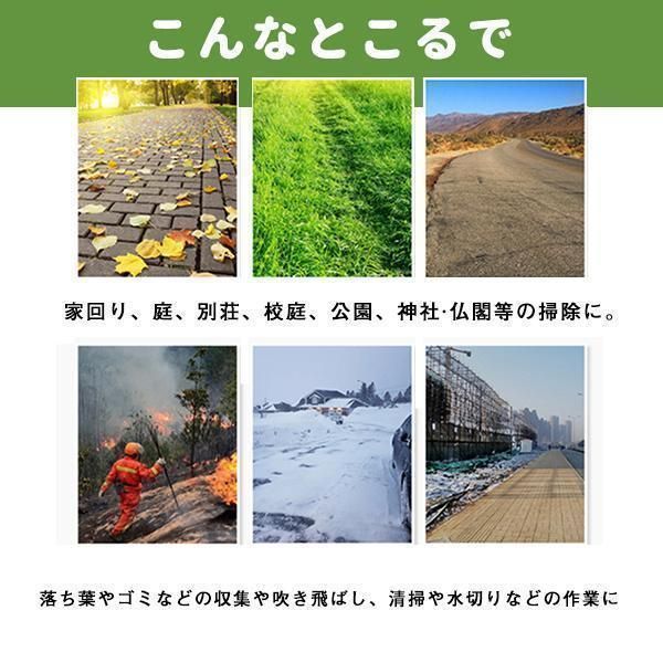 小型 落ち葉