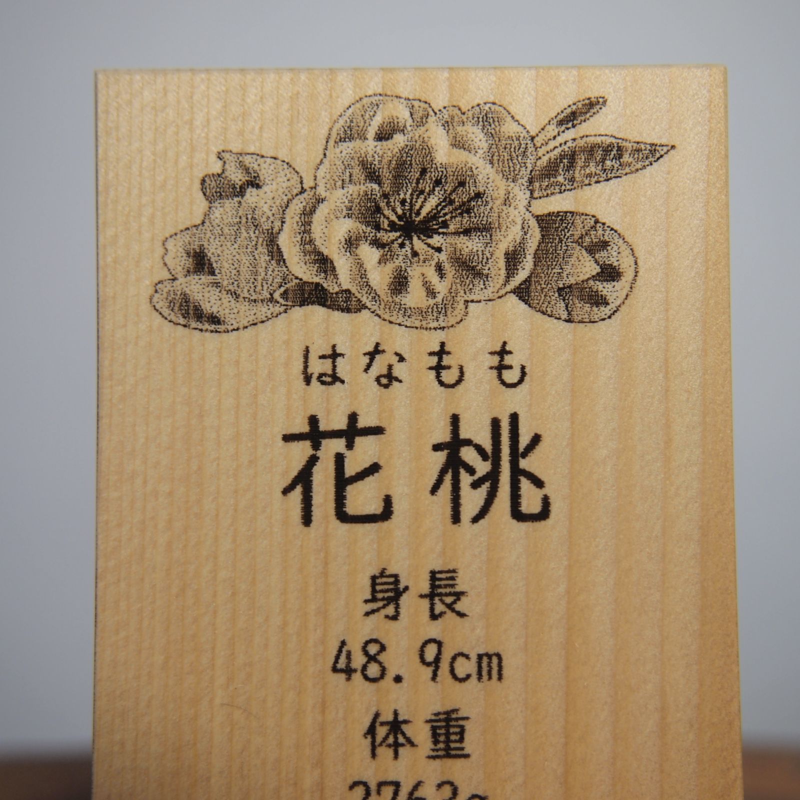 人気の福袋 最も 新品 未使用 013名前木札小サイズ 女の子お誕生記念 お名前と各データと花桃 ひな祭り Www Awarestorebr Com Br Www Awarestorebr Com Br