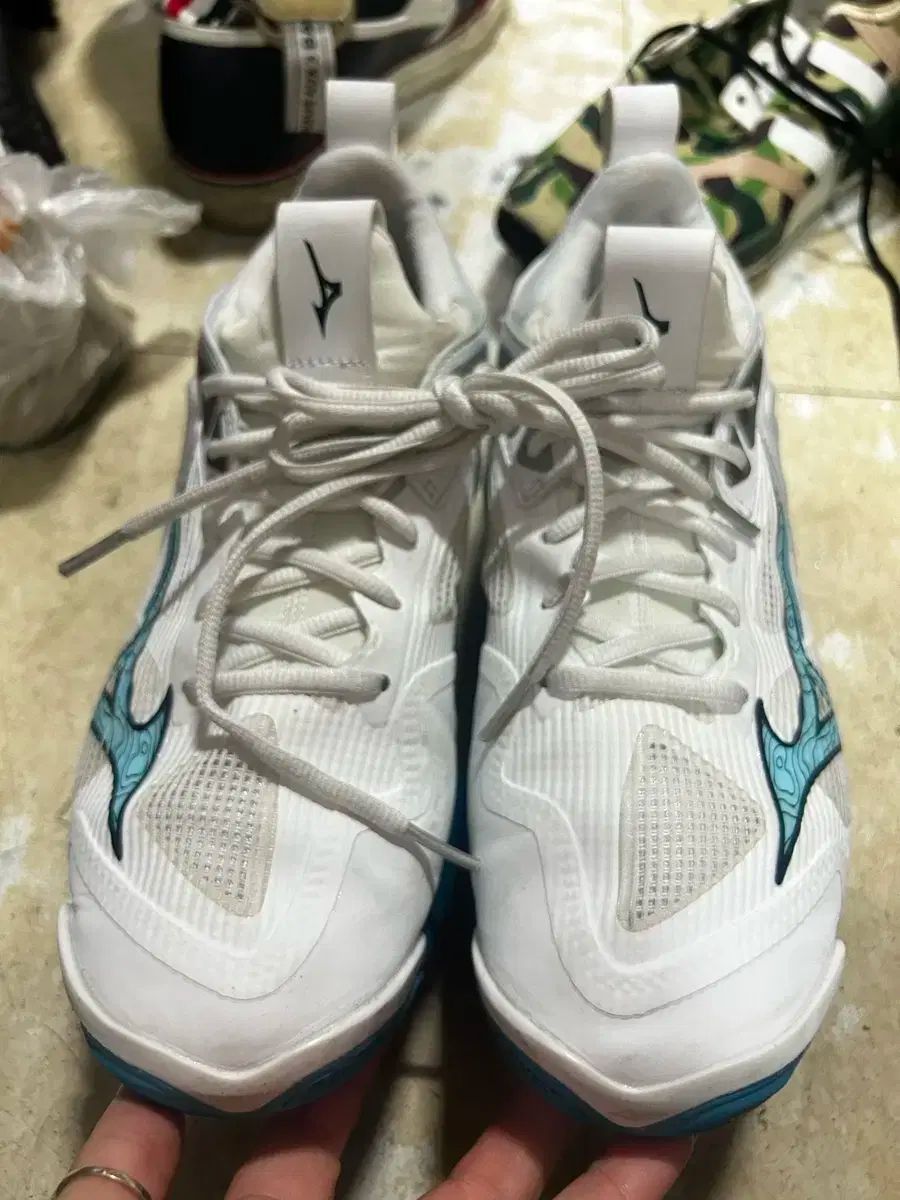 mizuno ミズノ ウェーブ 勢い 3 エネルギー 室内 スニーカー 255cm バドミントンシューズ