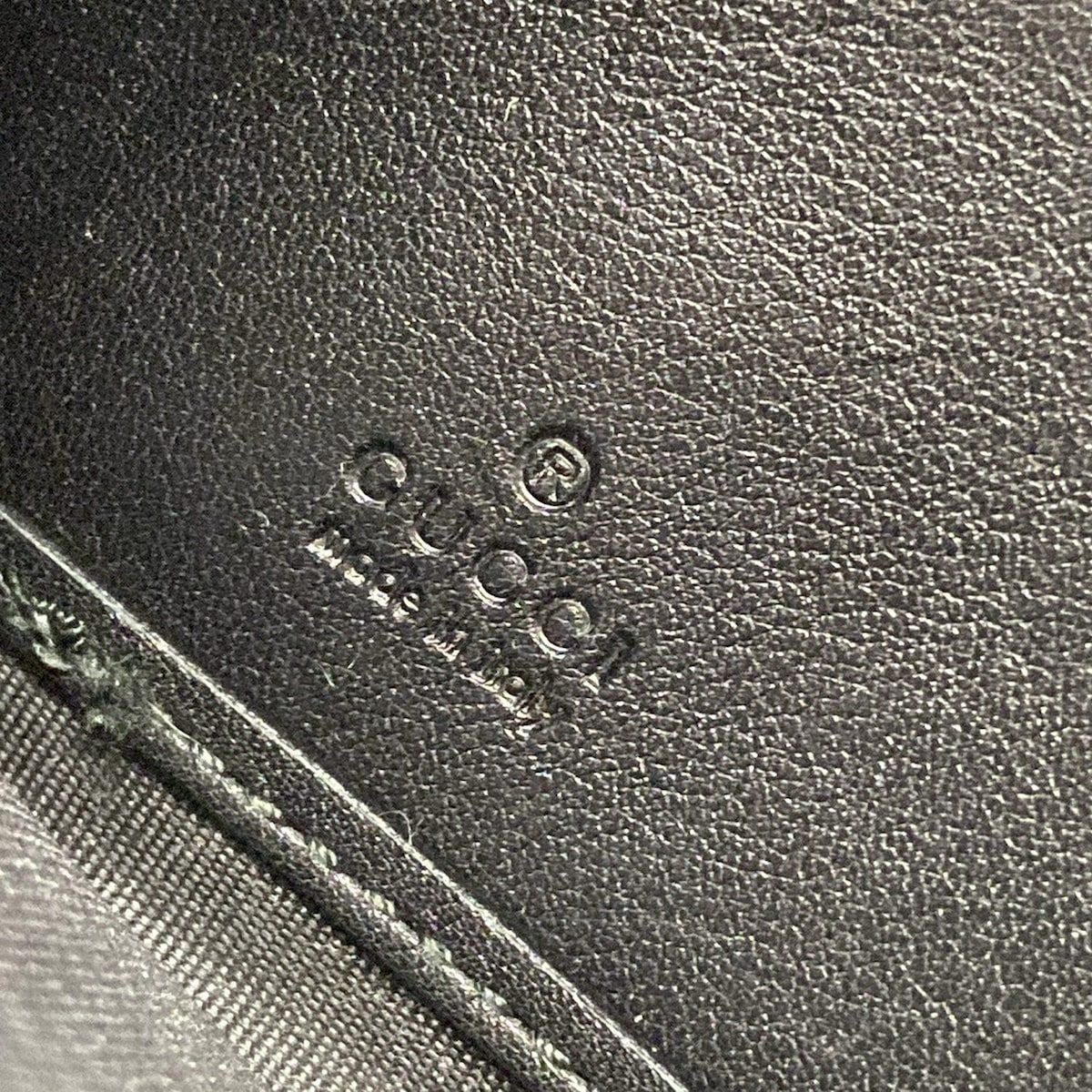 マイクログッチシマ