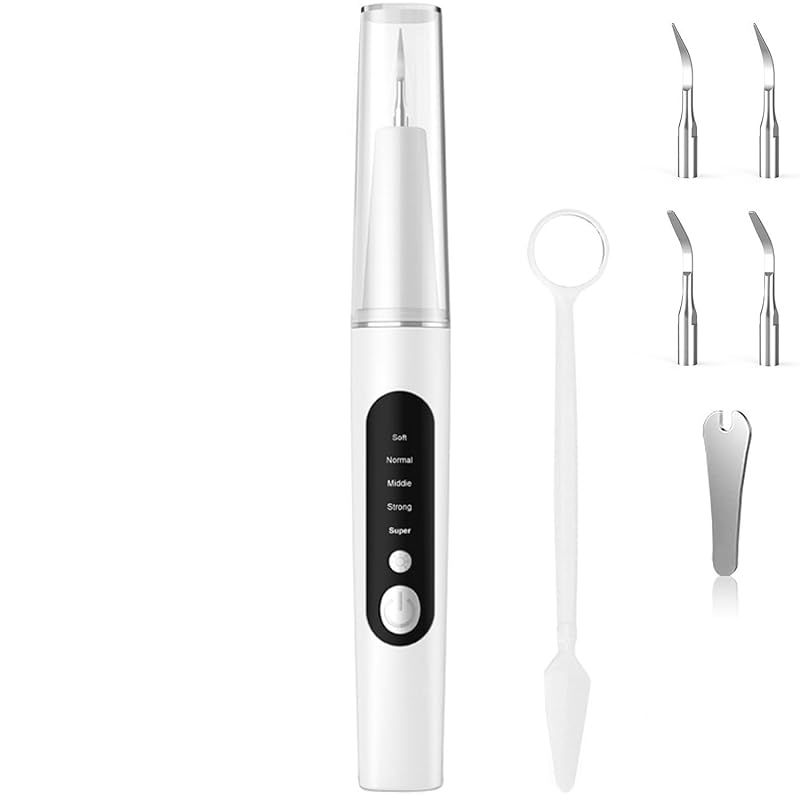 ビカクシダ シルバーベルベット フーンシキ 親株