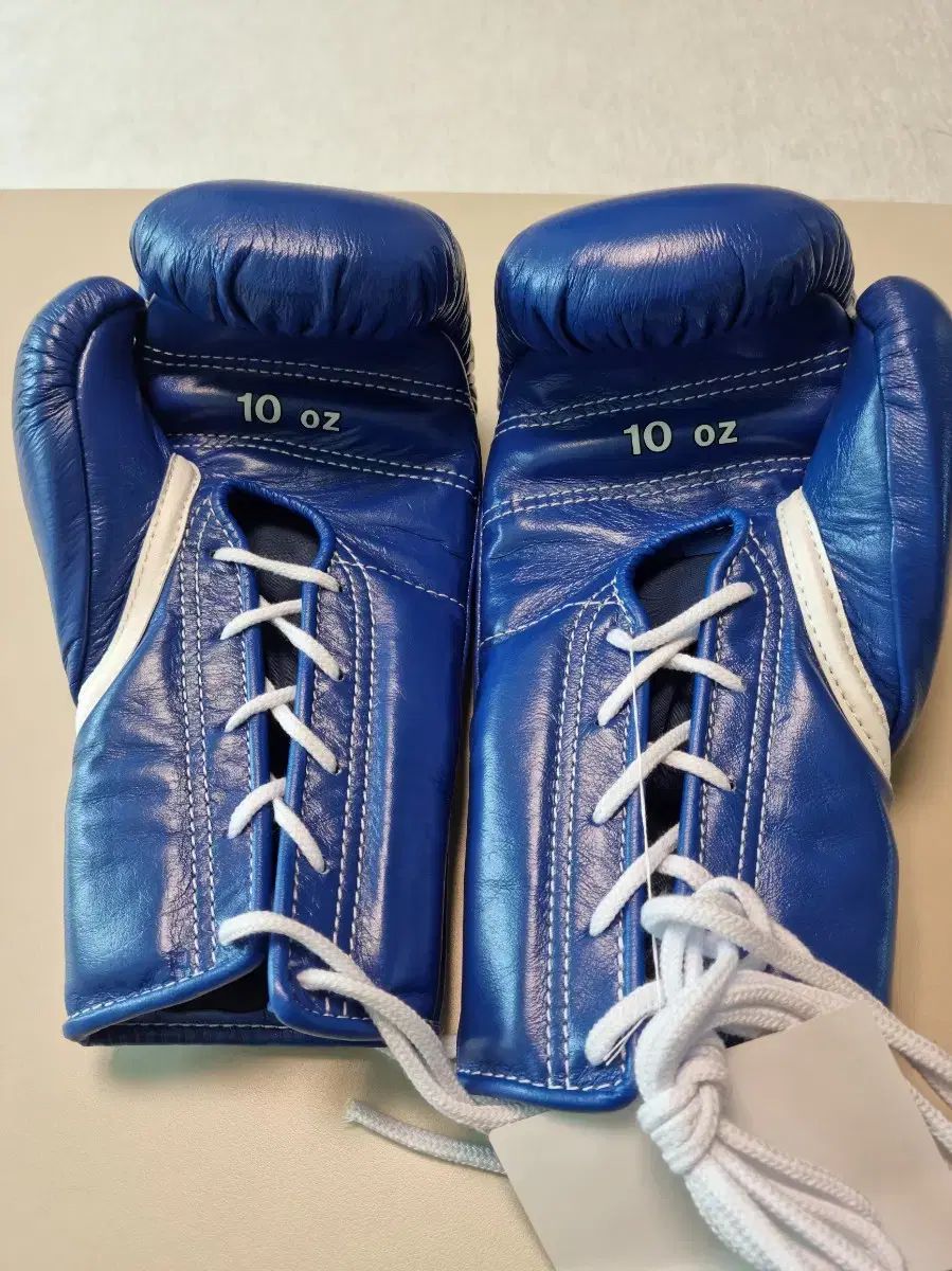 ボクシング　ポスター　中川大資vs柴田明雄　佐々木基樹　三浦隆司　後楽園ホール ボクシング ポスター 中川大資vs柴田明雄 佐々木基樹 三浦隆司 後楽園