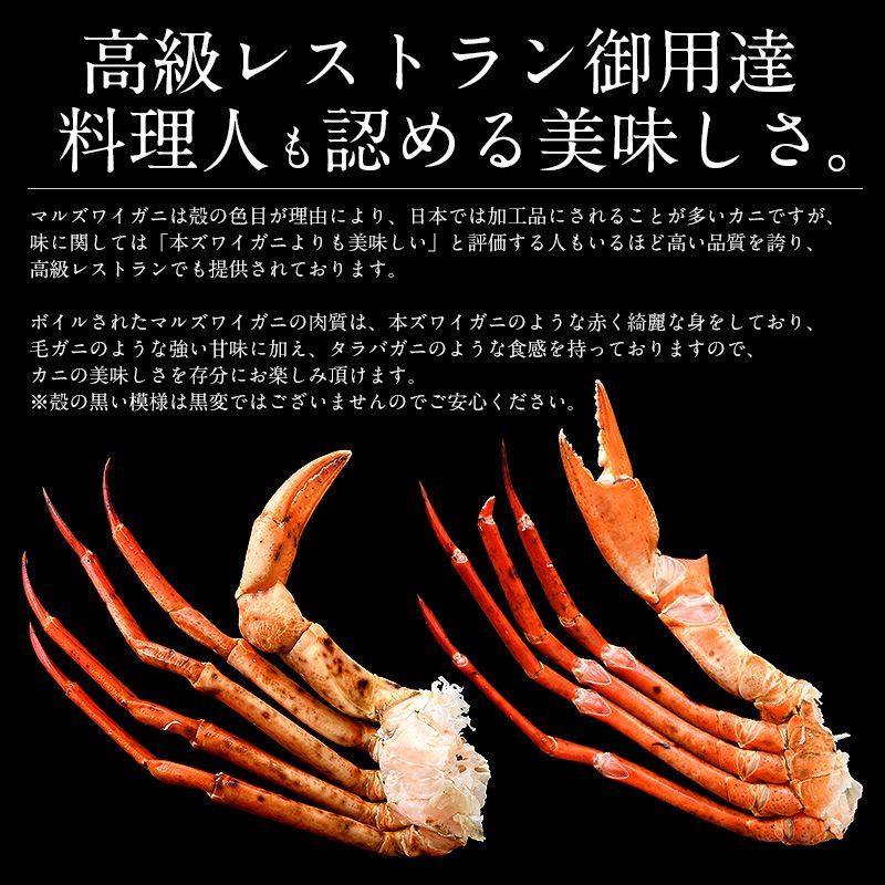 足 脚