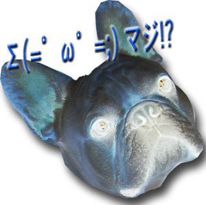 30kg