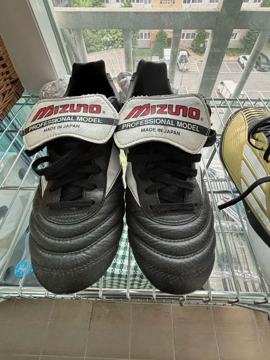 mizuno ミズノ モレリア 2 jp