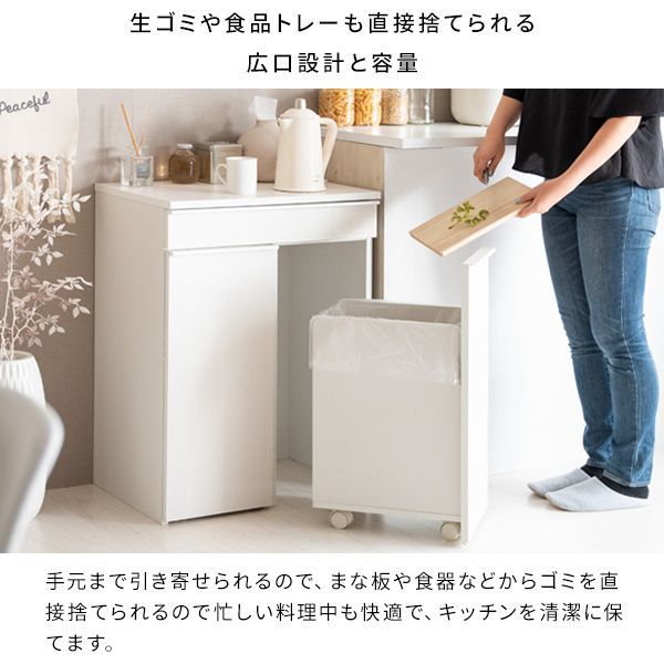 分別ドロワーダストボックス キッチンペール