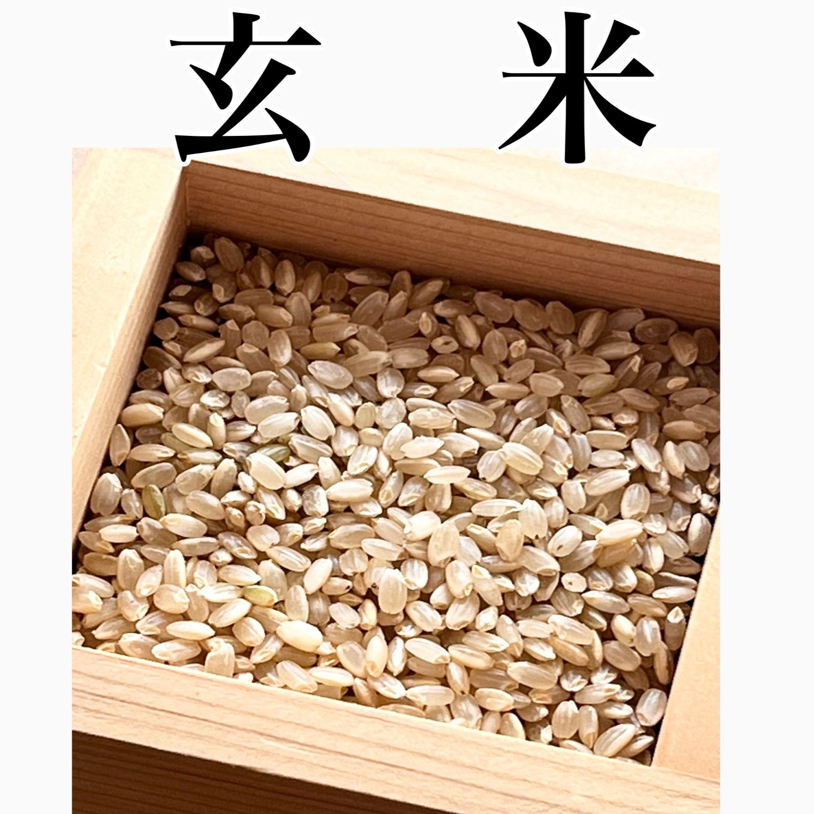 令和7年産 新米【コシヒカリ】玄米10キロ セール中 湖北 近江米 送料