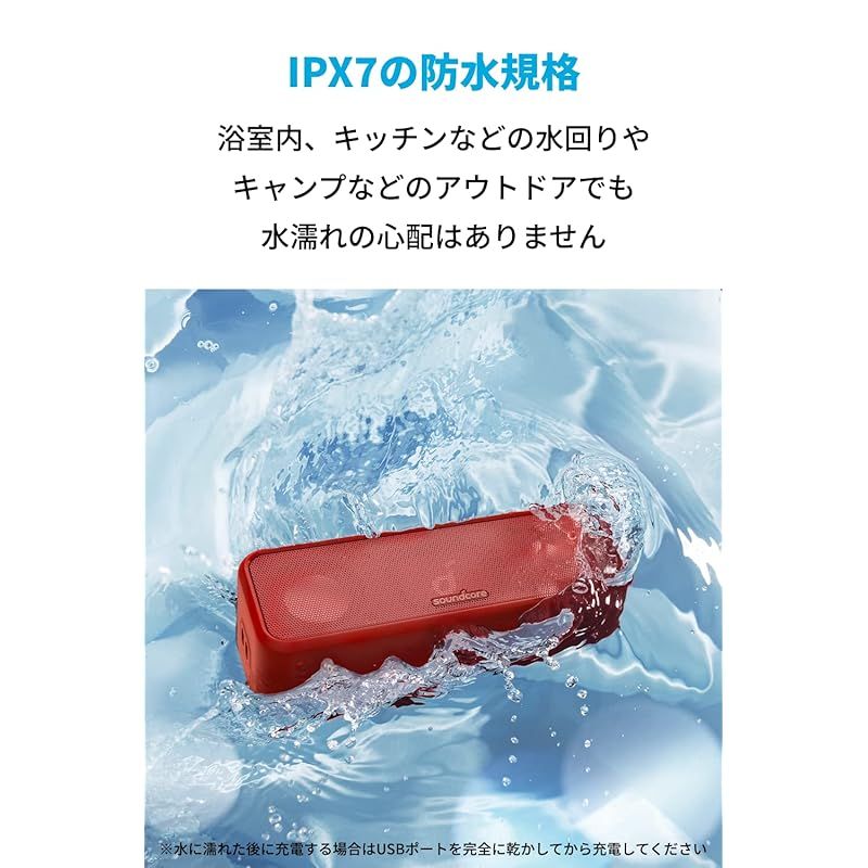 チタニウムドライバー デュアルパッシブラジエーター