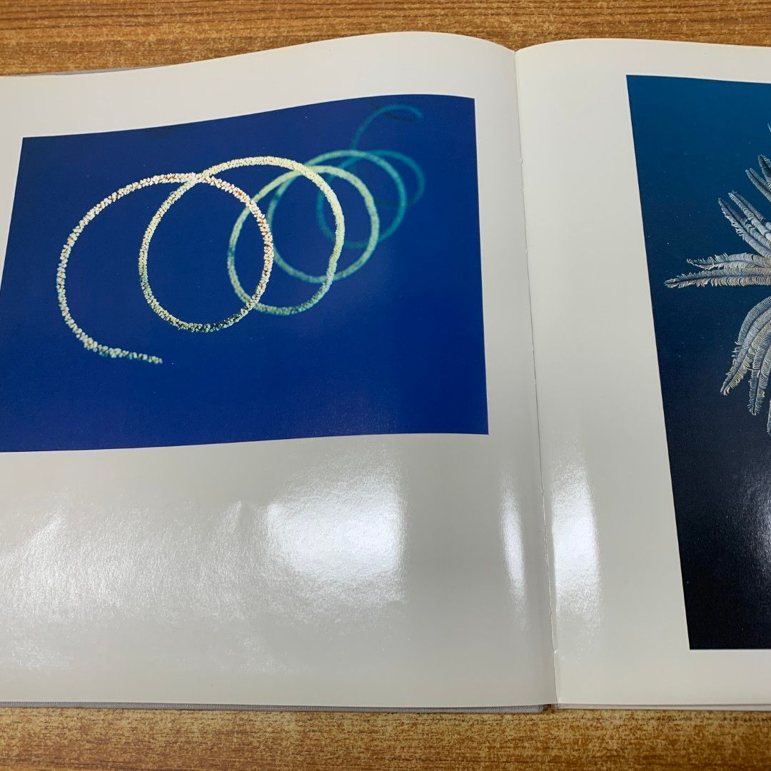 WONDERS UNDER WATER　写真集 △01)【同梱不可】レニ・リーフェンシュタール 写真作品集