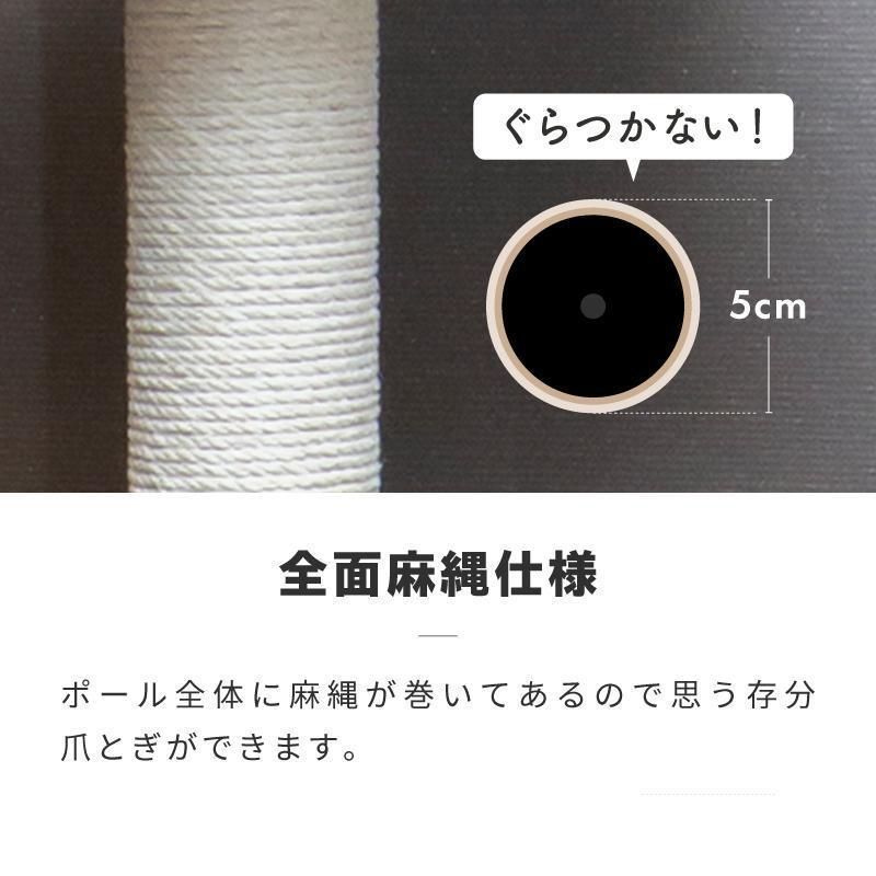 子猫 爪とぎ