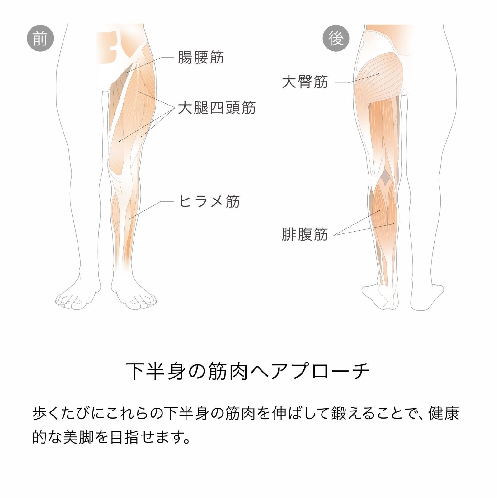 新型