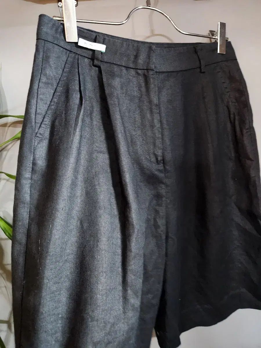 マックスマーラ 55