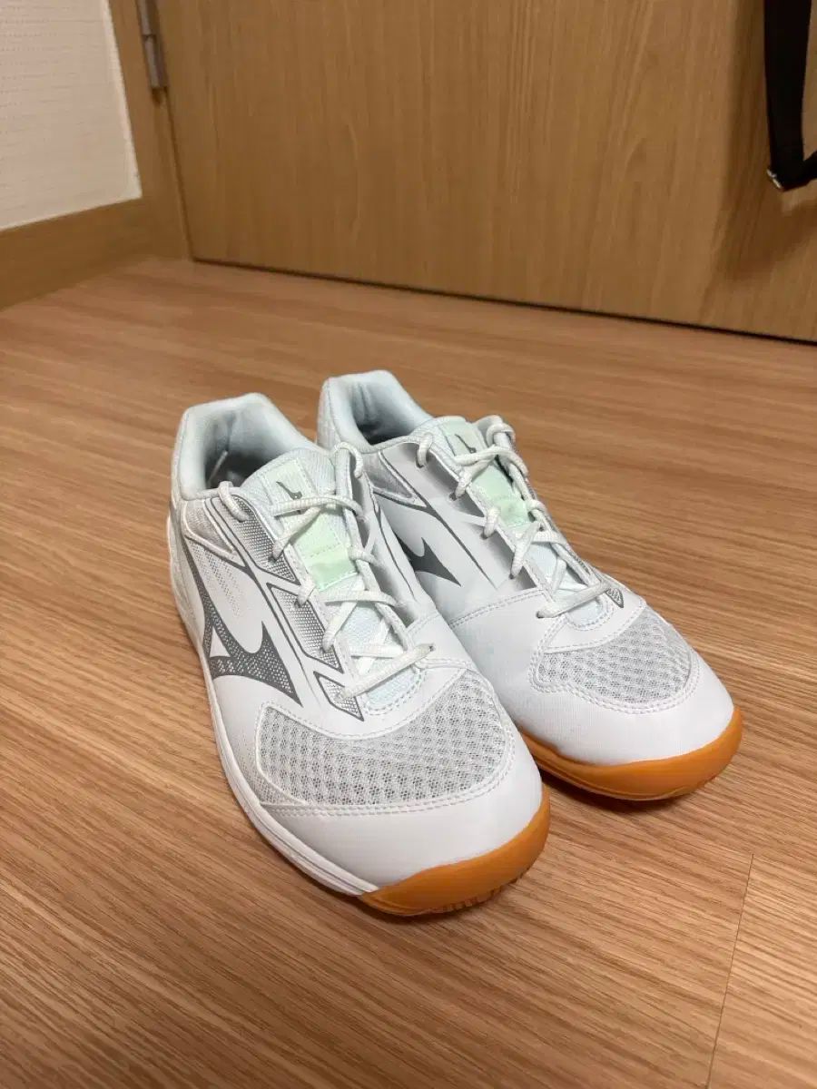 Mizuno ミズノ 入学試験 バドミントンシューズ 280