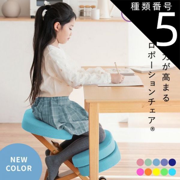 サカモトハウス バランスイージー バランスチェア ネイビー バランス