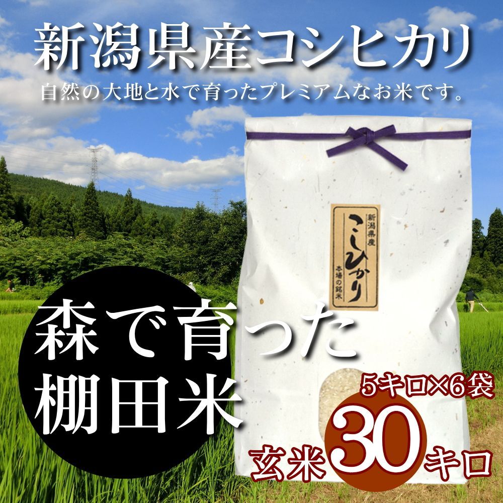 新潟米コシヒカリ 玄米 30kg（5kg×6袋）雲龍和紙 新潟産こしひかり