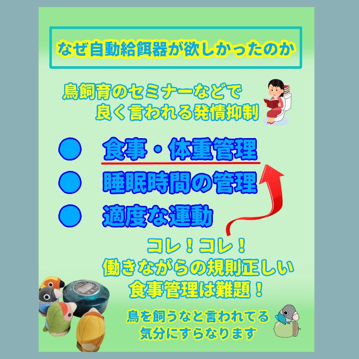 セット