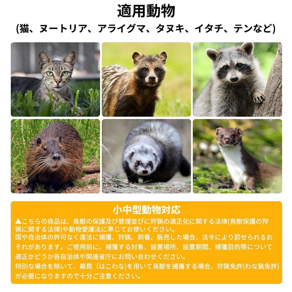サイズ
