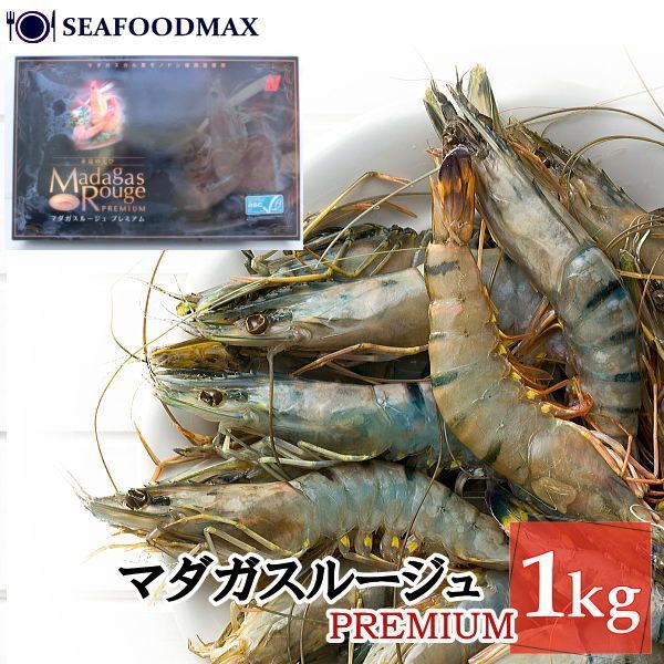 マダガスルージュ プレミアム 海老 生食可能 冷凍海老 マダガスカル産 1kg 35-40尾 バラ凍結・マダガスルージュ・