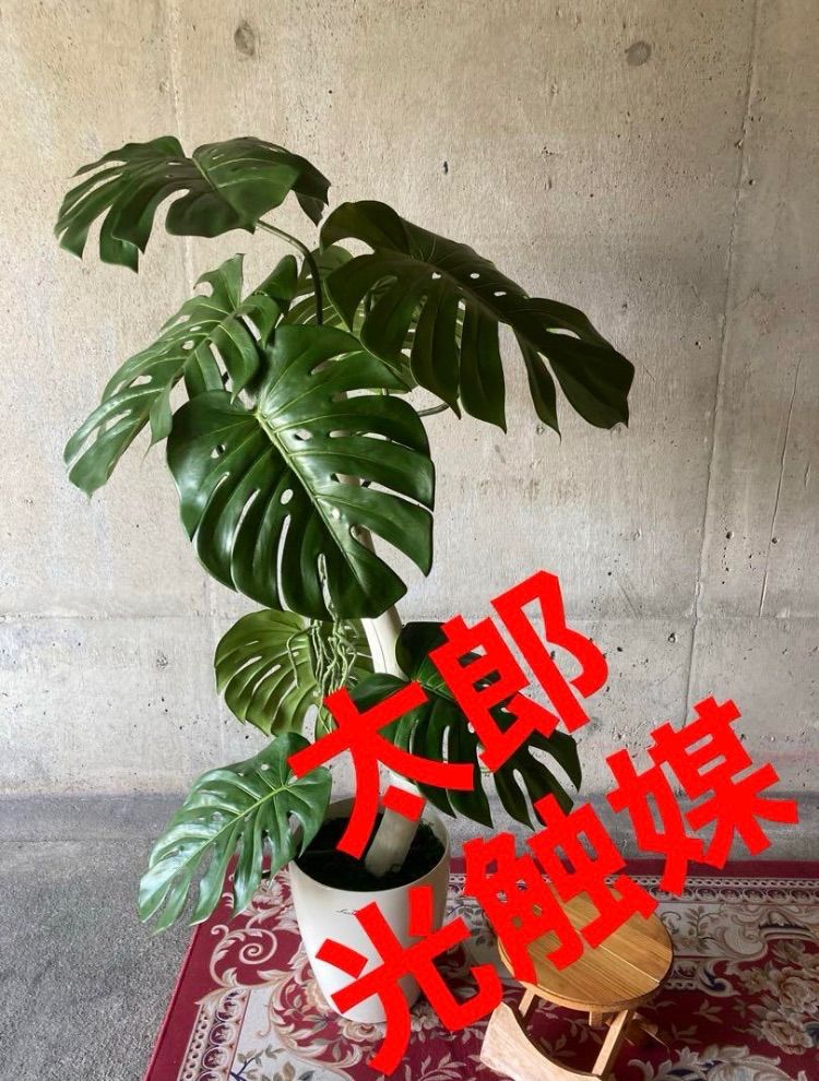 イイダコ用蛸壺 たこつぼ 多肉植物鉢 小さめ可愛い 39個おまとめ