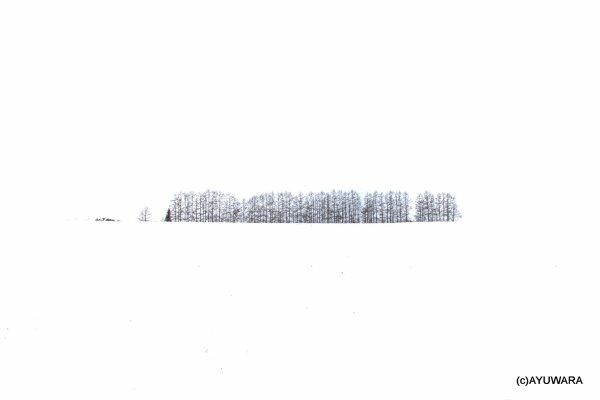  アートフォト 絵画 ベスト マイルドセブンの丘2 高橋真澄 インテリア 額入り 額装込 風景画 油絵 ポスター アート アートパネル リビング 玄関 プレゼント モダン アートフレーム 飾る Mサイズ おしゃれ 壁掛け 絵 写真 その他