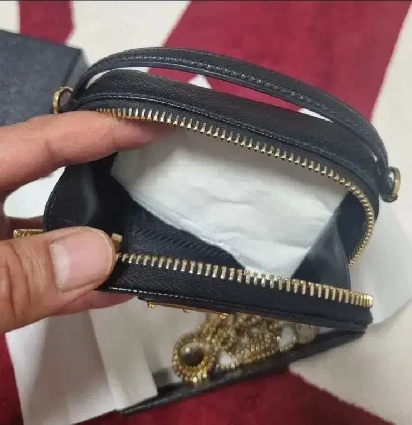 サフィアーノ ミニ