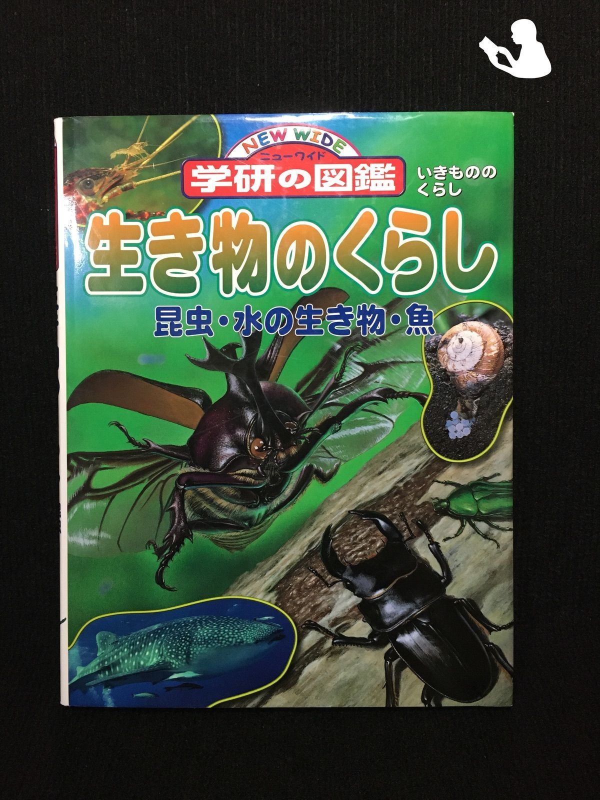 生き物のくらし : 昆虫・水の生き物・魚 - ノンフィクション・教養