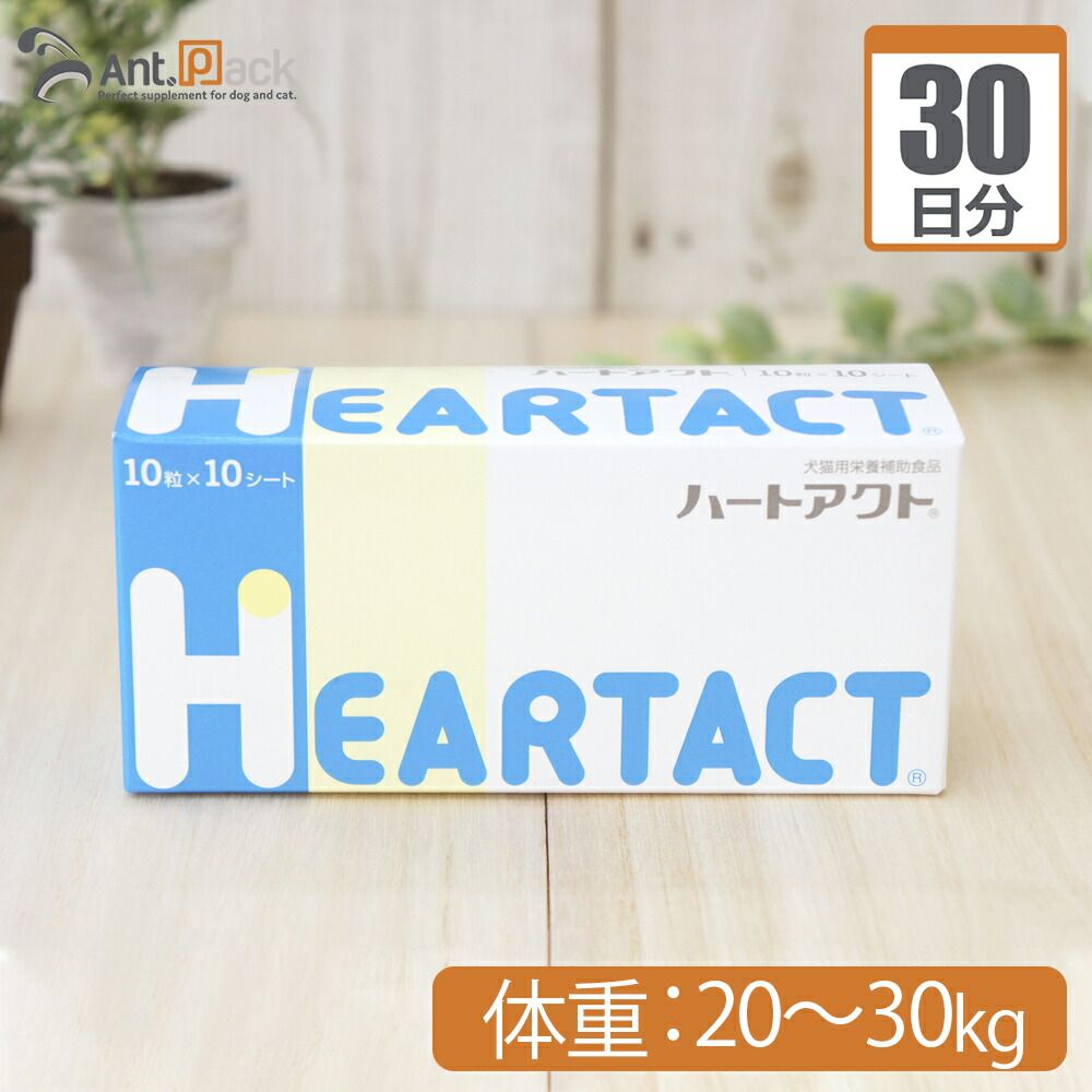 liverano ストール（カシミヤ,フルーツ柄）