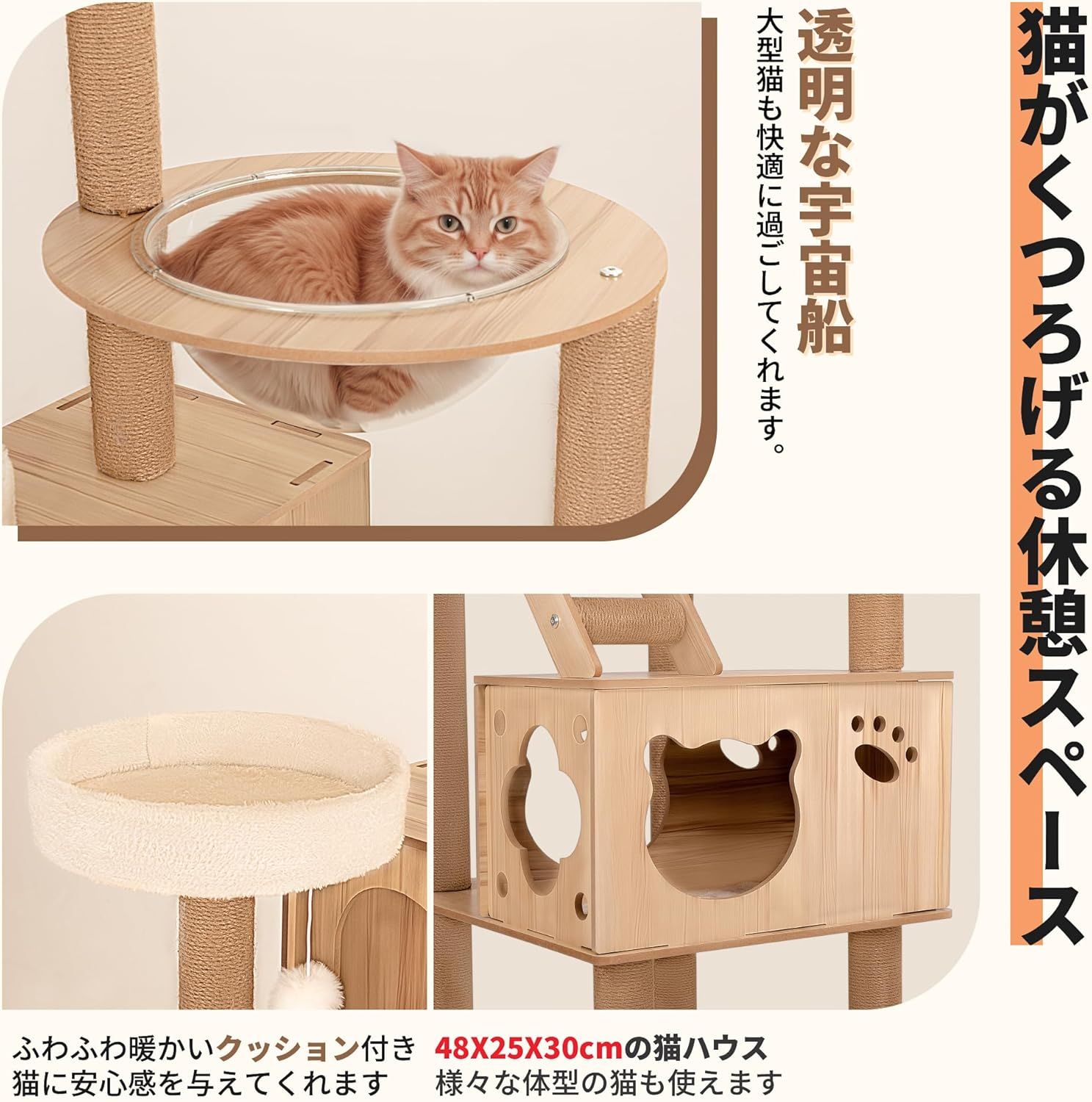 運動不足解消