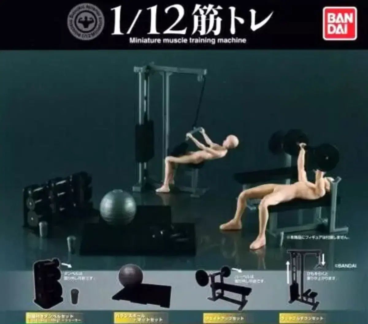 BANDAI(バンダイ) 正規品 1 ／ 12 筋肉 トレーニング マシーン ガチャ 4 種 セット 出品