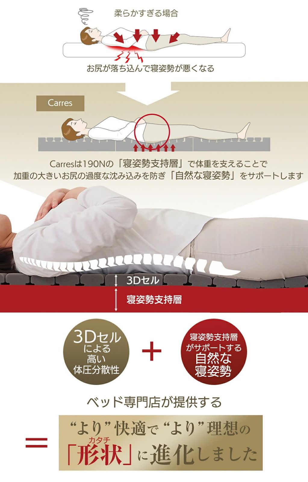 carres 3Dセル