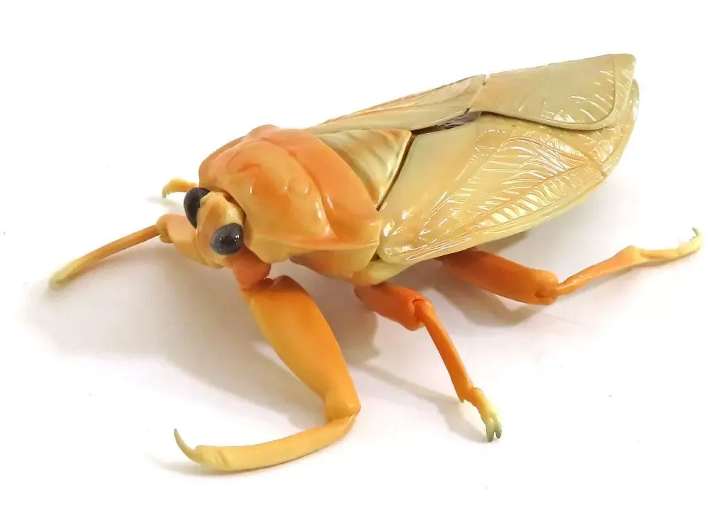 2026年最新】日本の水生昆虫の人気アイテム - メルカリ