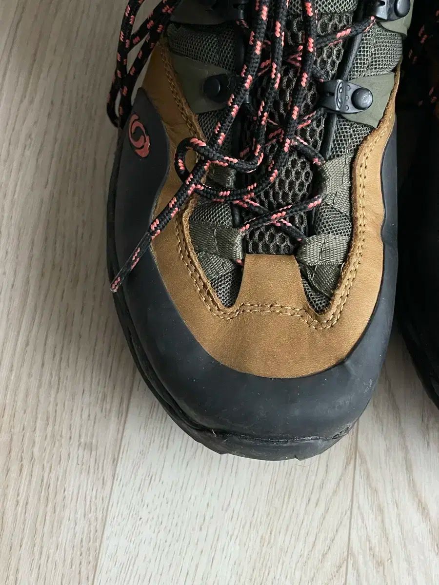 SALOMON