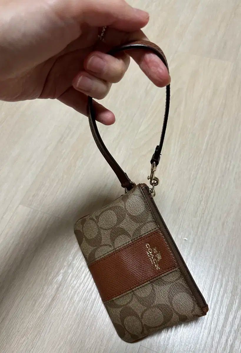 COACH コーチ ポーチバッグ F52860