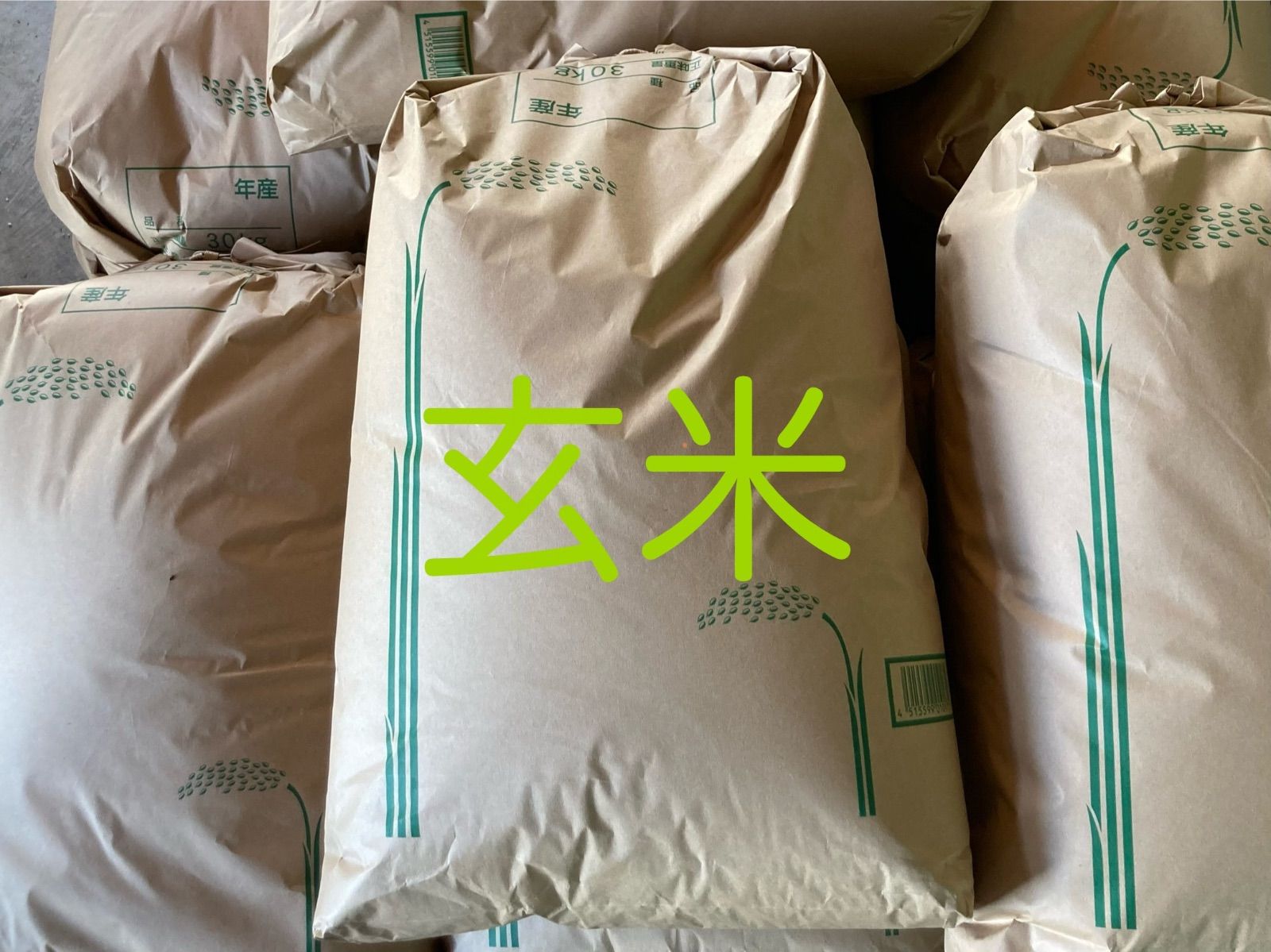 令和7年収穫新米コシヒカリ10kg 10キロ 玄米 農家直送