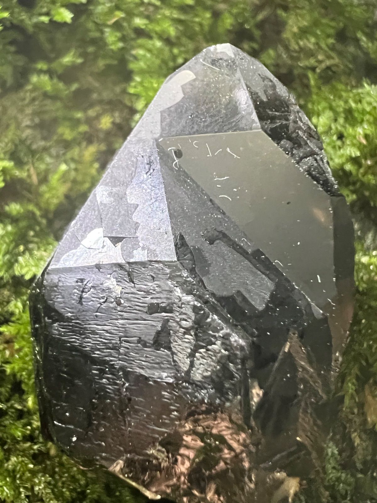 龍脈の精髄 ― 煙水晶ペンダント 「逆境を超え自然と共鳴する護り」保護